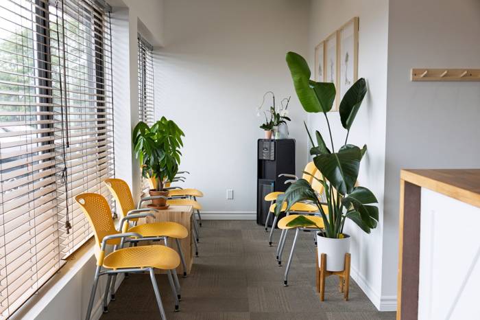 The bright waiting area with yellow chairs and plants